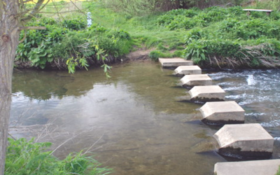 Five stepping stones to increased signups