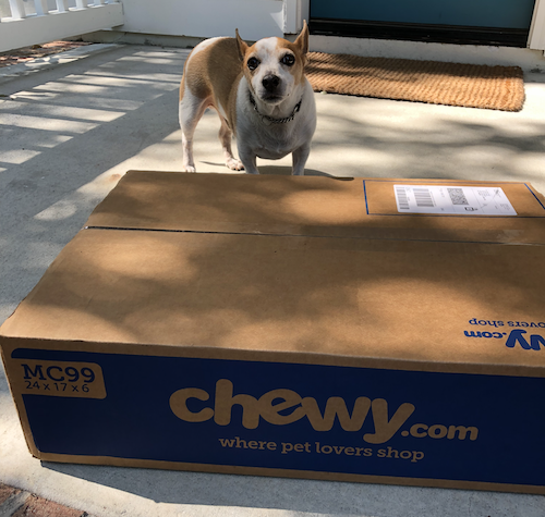 dog_with_chewy.com_box